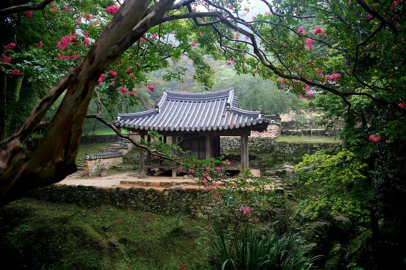 Healing Gardens